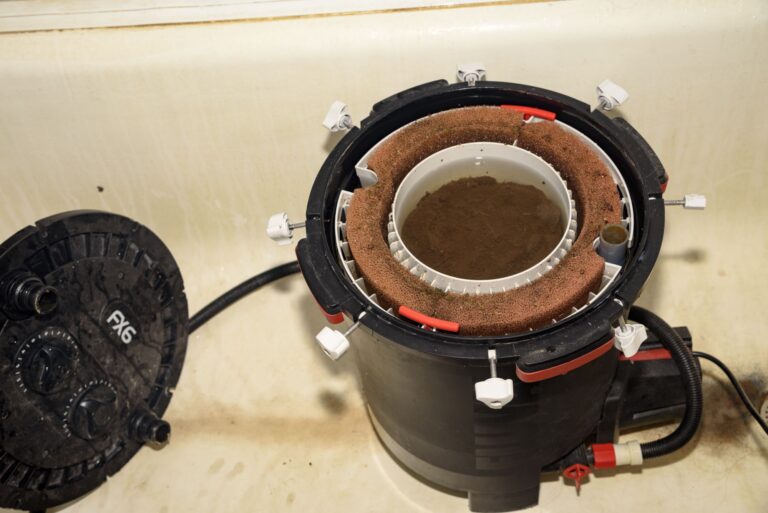 Care of Aquarium Filter