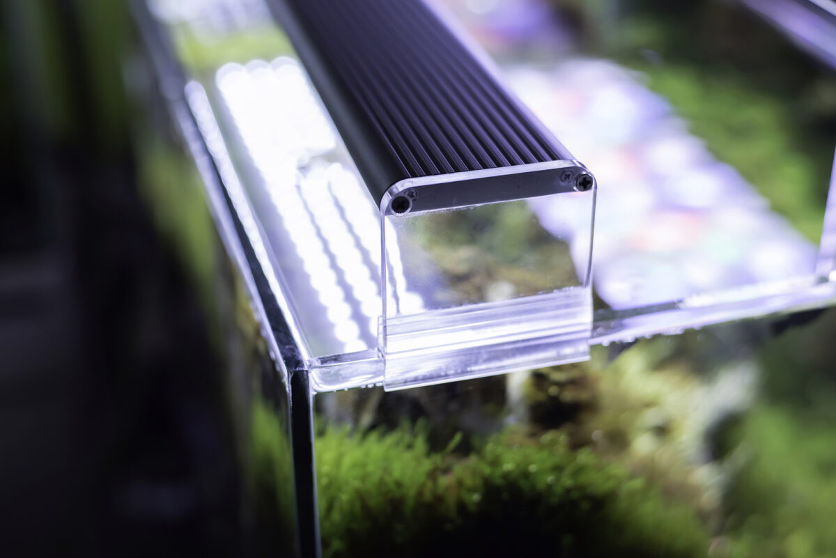 View of Best T5 Aquarium Light Fixtures for Freshwater and Marine Tanks