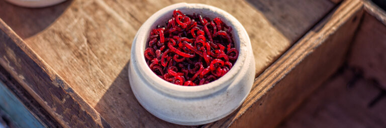 Featured Image -PT-0134 - blood worms for fish