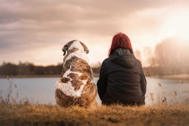 A Dog and a Woman Sitting by The Riverside