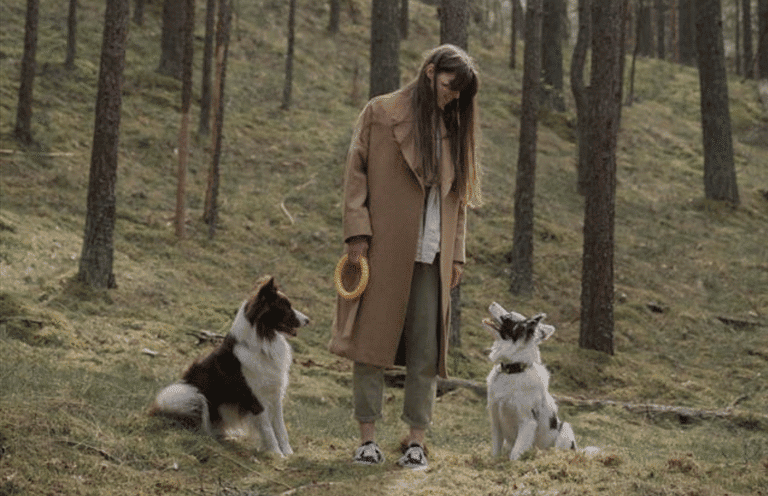 play with dogs