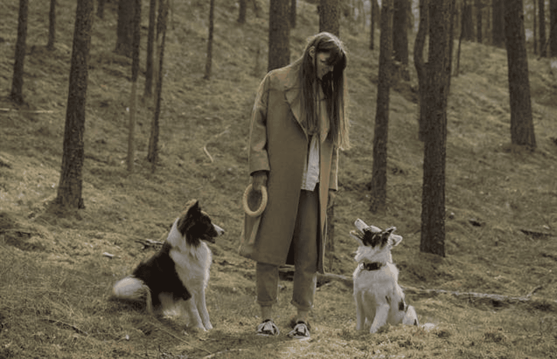play with dogs