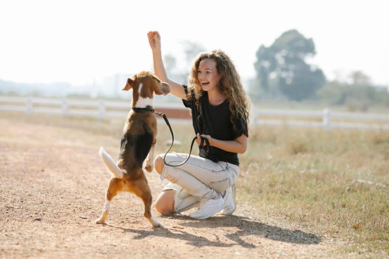 Care of Your Dog