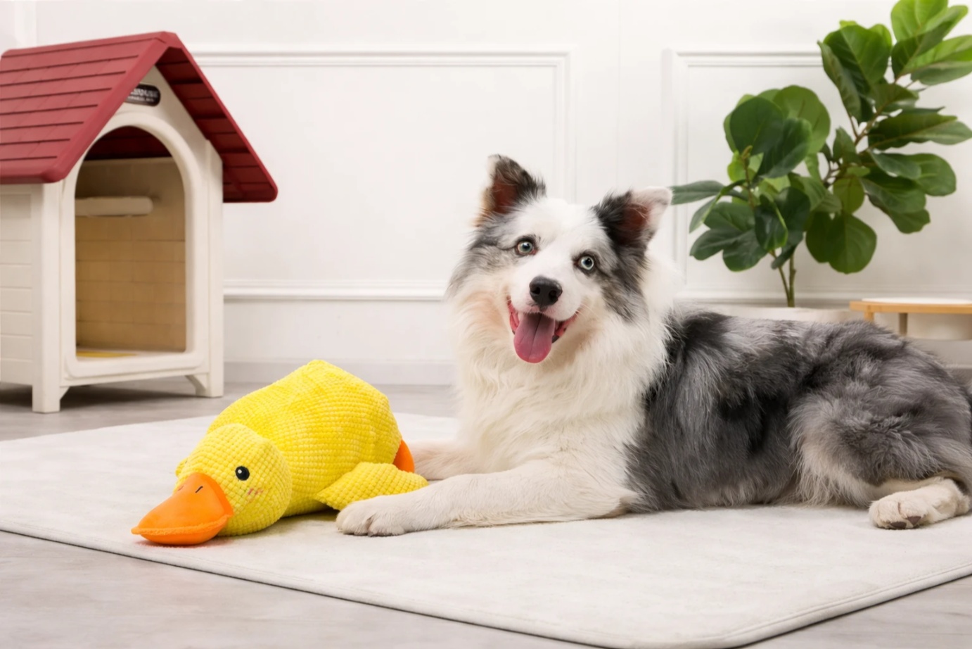 why-some-dogs-love-soft-comfort-toys-more-than-you-think
